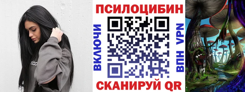 где можно купить   Зеленокумск  Псилоцибиновые грибы GOLDEN TEACHER 